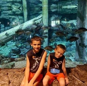 Meet your Posher, Freda